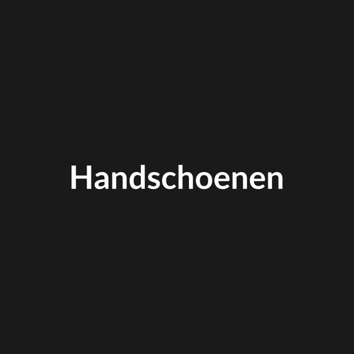 DEMO — BBQ Handschoenen Leer